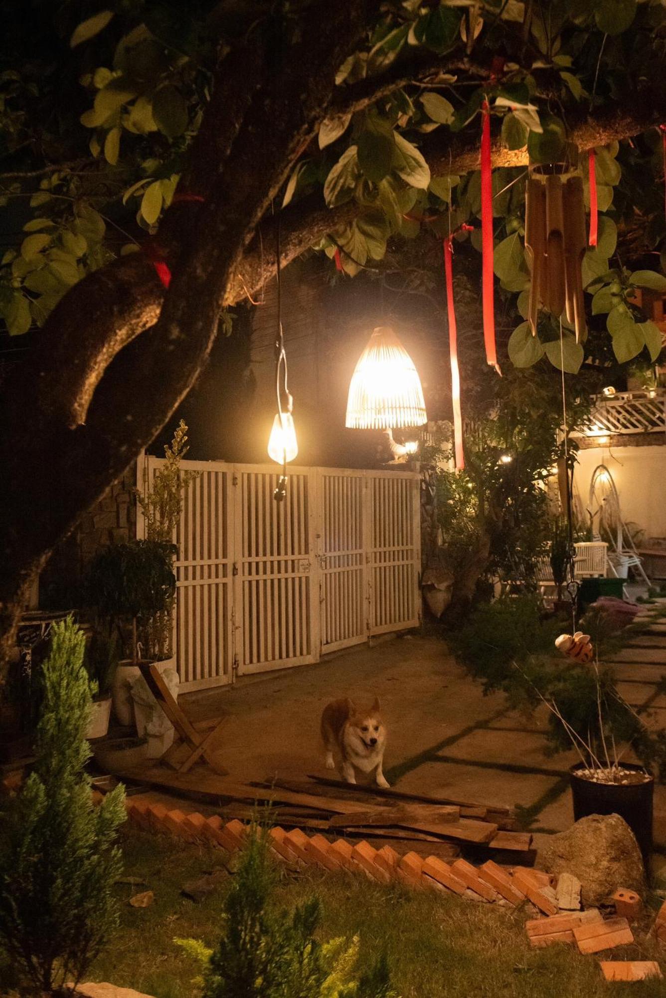 Chai Nho Homestay دالات المظهر الخارجي الصورة