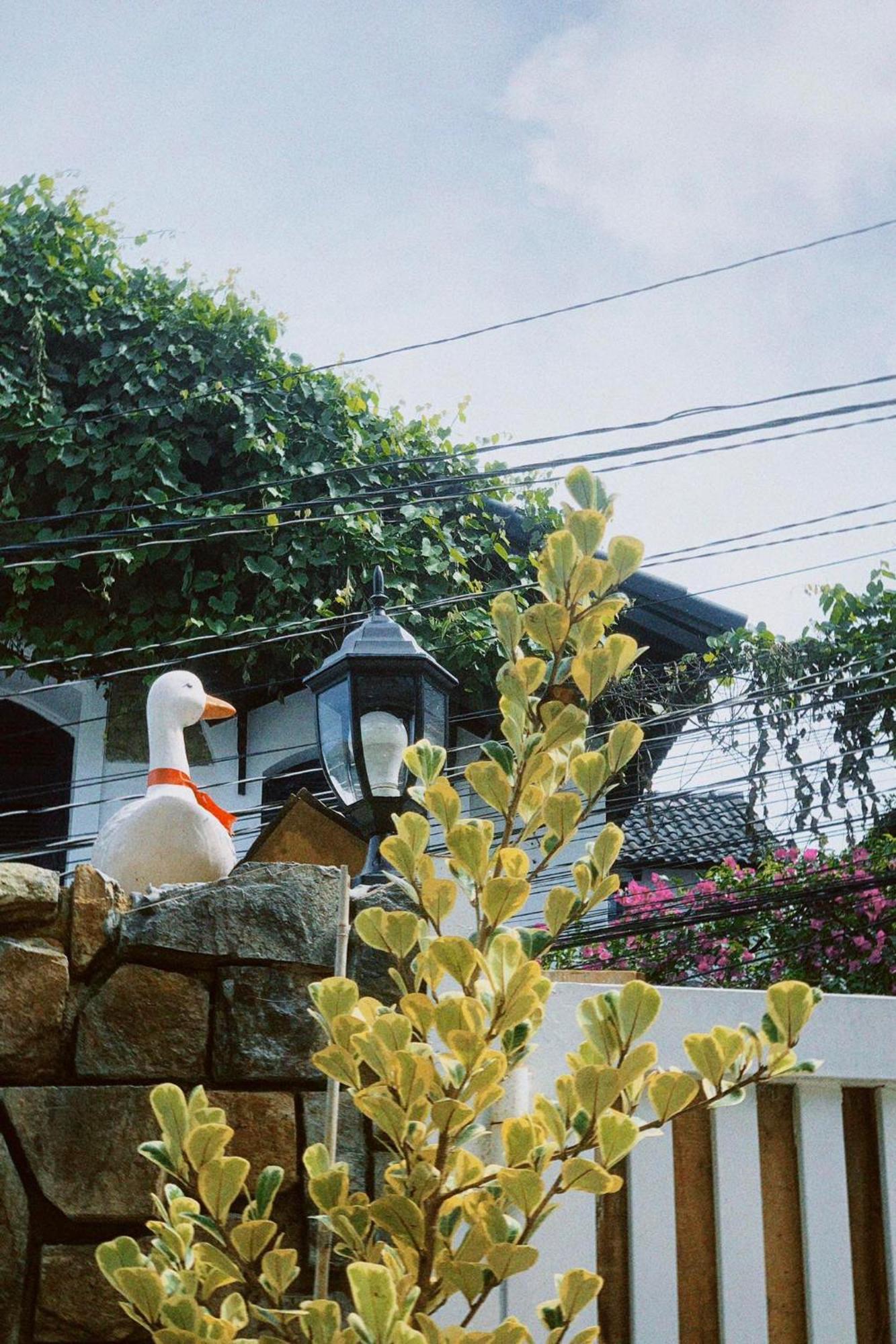 Chai Nho Homestay دالات المظهر الخارجي الصورة
